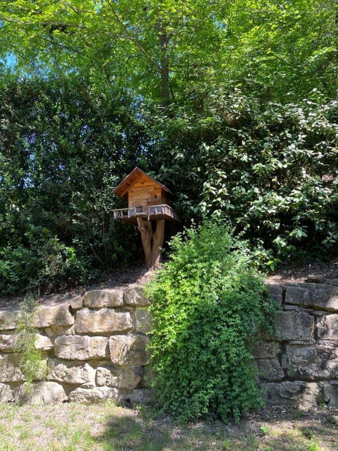 Residenze L'Alberata Guest House Collazzone ภายนอก รูปภาพ